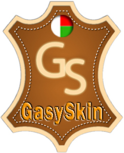 clientGasy Skin Logo